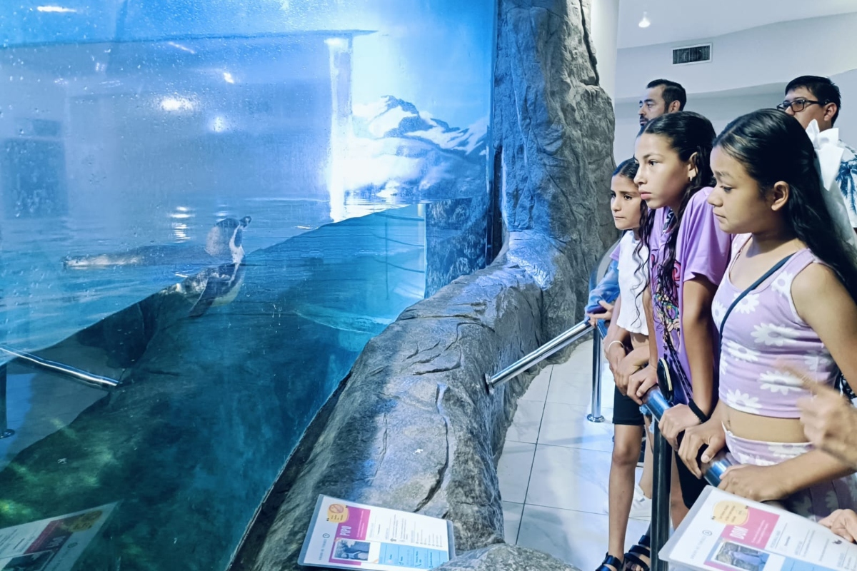 gran-acuario-mazatlan