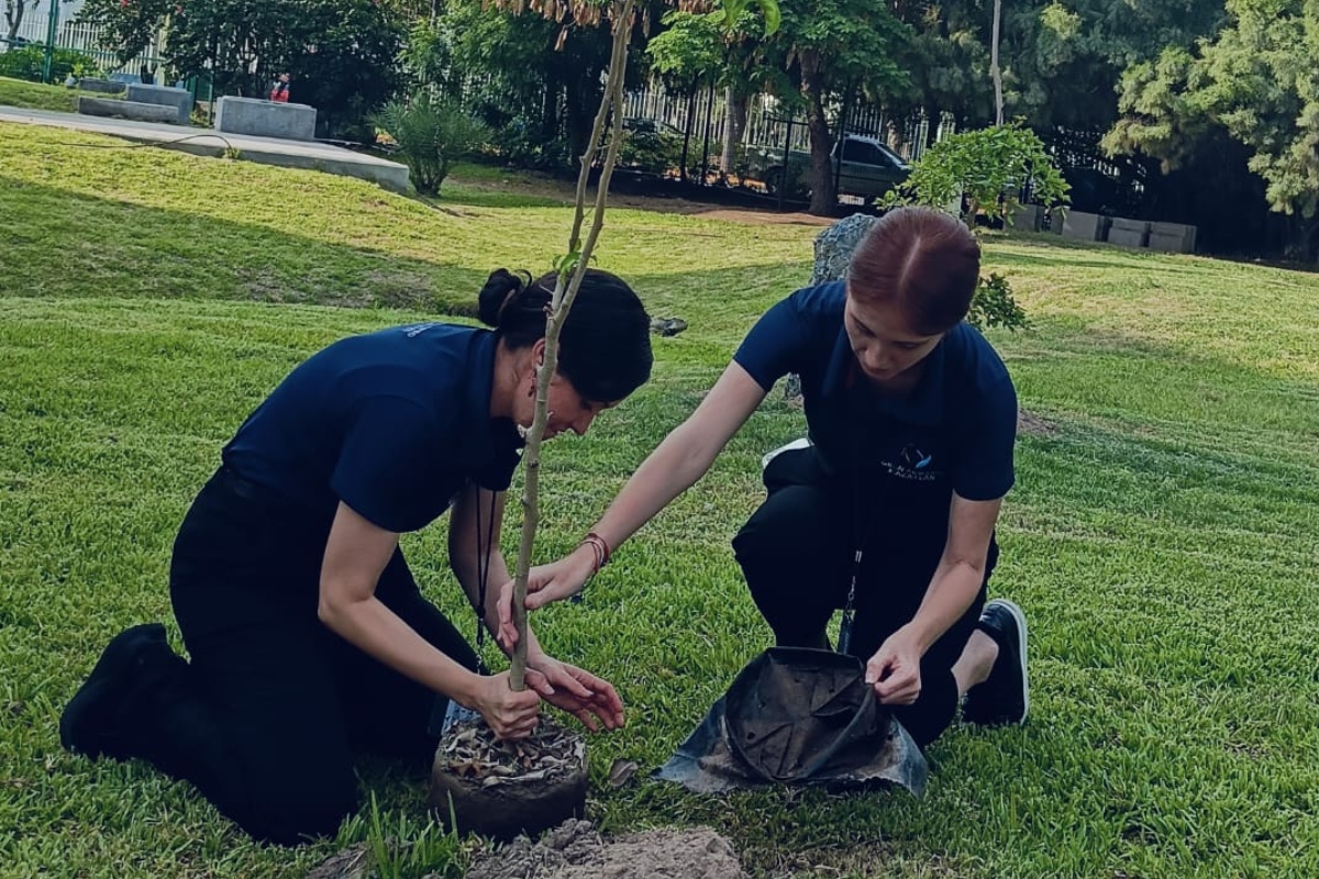arborizacion-gran-acuario-mazatlan