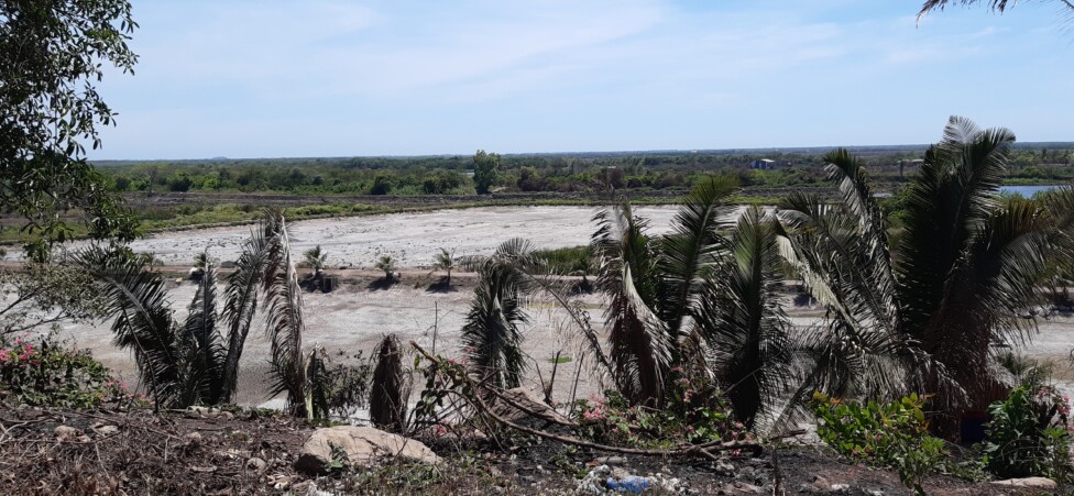 granjas camaroneras costas