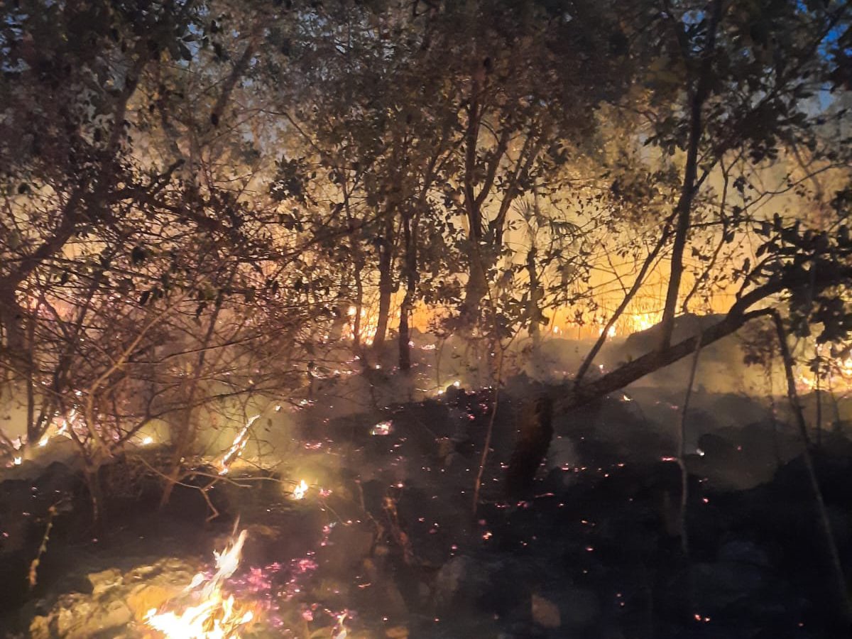 incendio sinaloa 2024