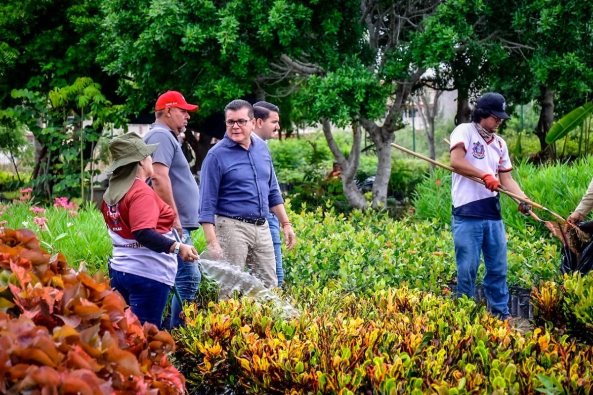 mazatlan-vivero-plantas