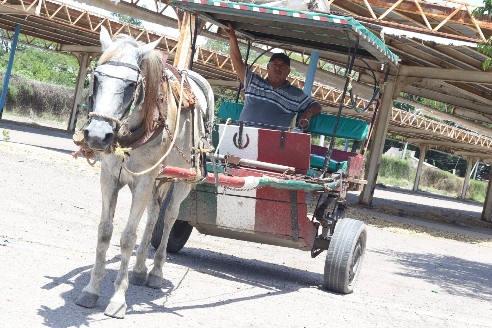 Auriga, Araña, El Dorado, Nuevo municipio
