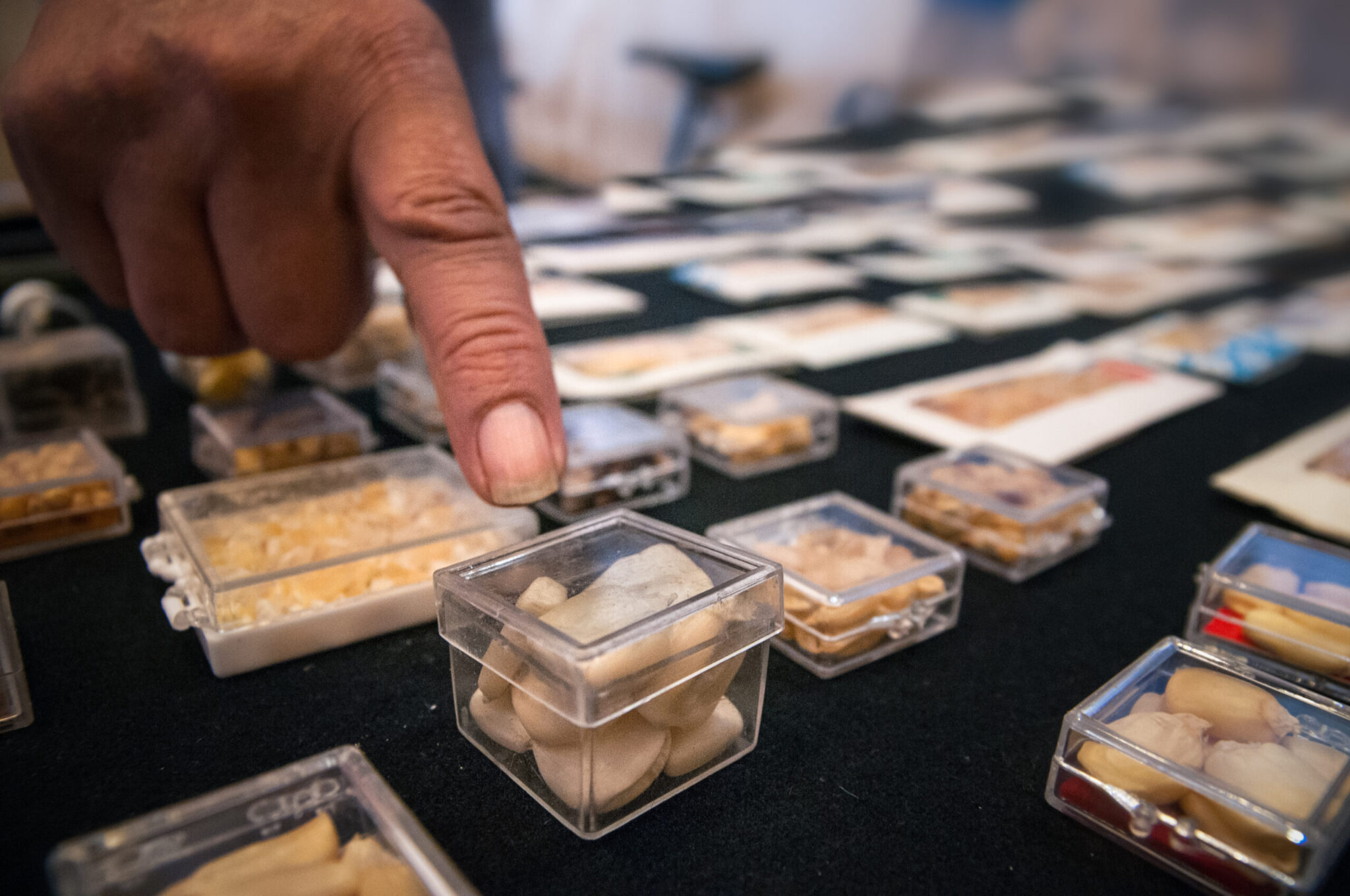 Monsanto, Maíz Transgénico, México