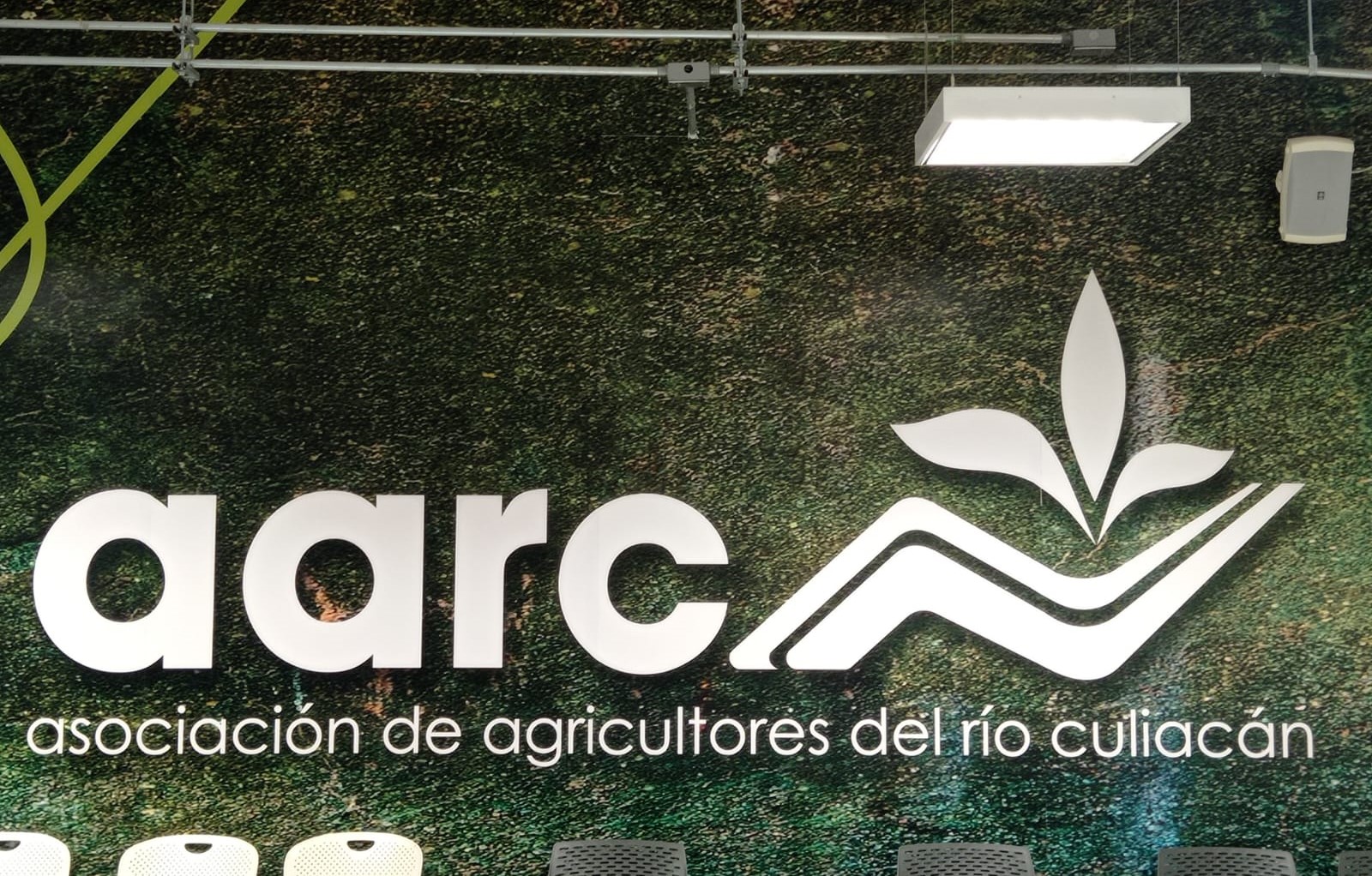 aarc-caña