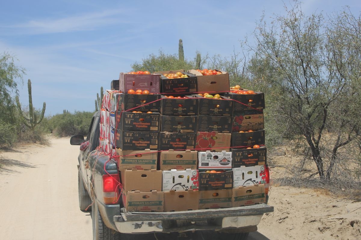 agricultura-sostenible