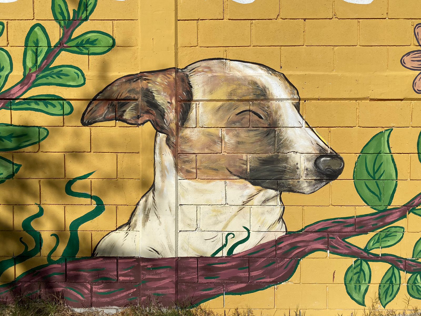 mural vamos pintando