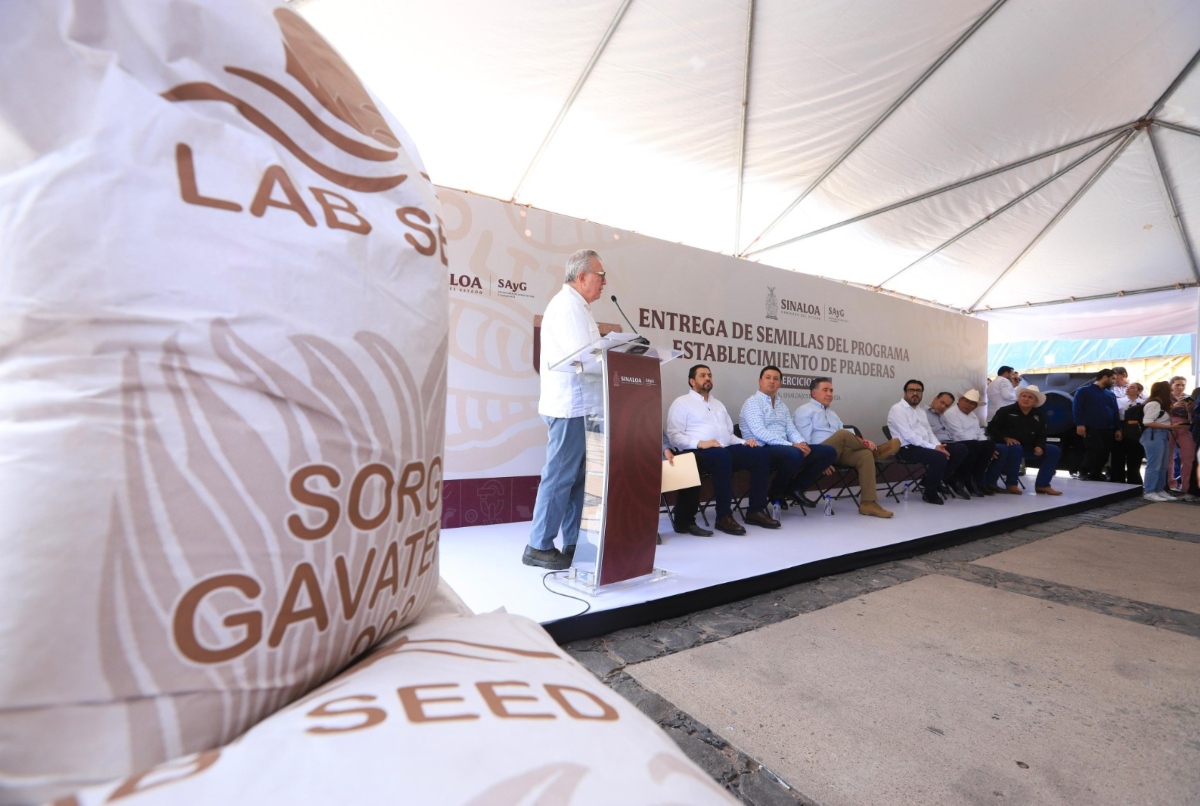 rocha-moya-semilla-sinaloa