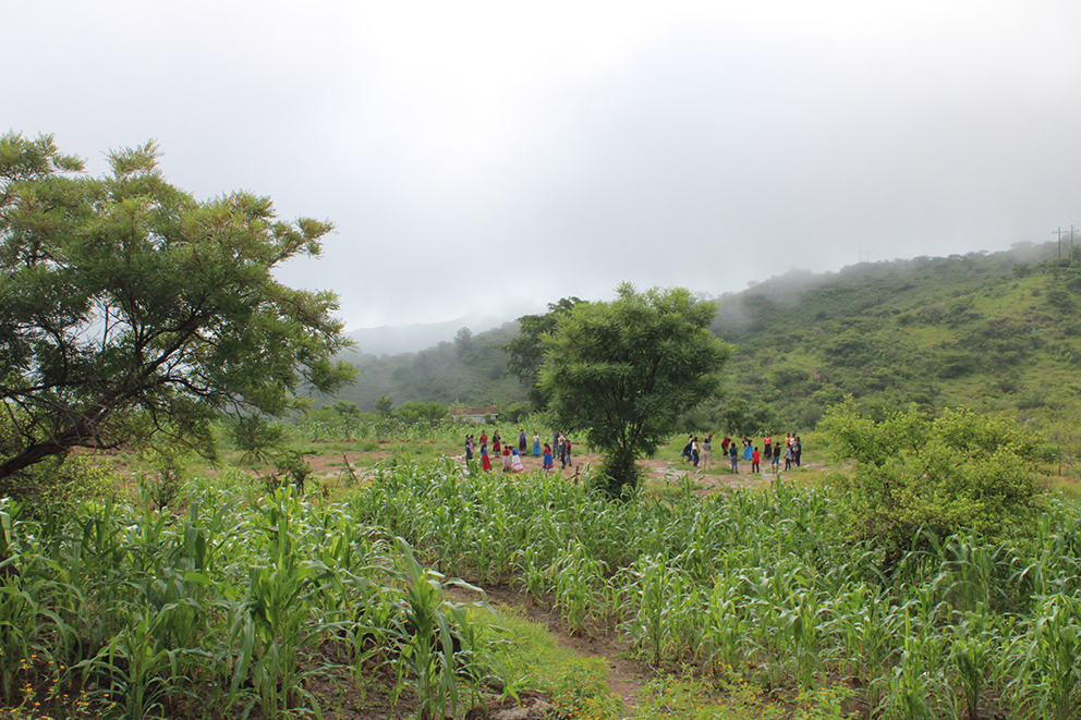 Tei M+ayema, Nayarit, Escuela, Lengua, Wixarica