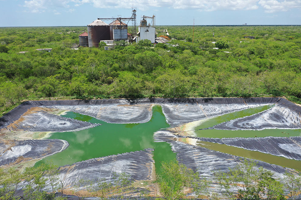 Granjas porcícolas, Cerdos, Yucatán, Medio ambiente