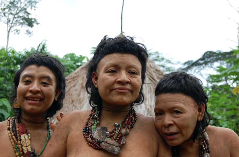 Pueblos indígenas, Mongabay