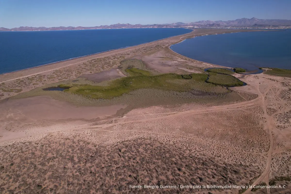 Proyectos turísticos, turismo, desarrollos inmobiliarios, Baja California Sur
