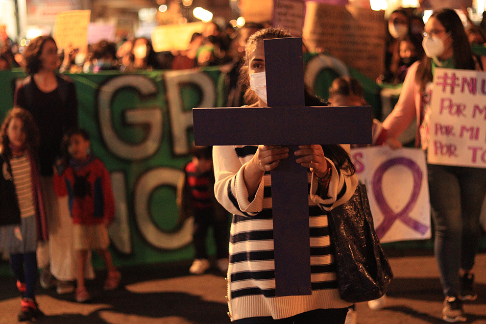 Alerta de violencia de género, San Luis Potosí, violencia de género