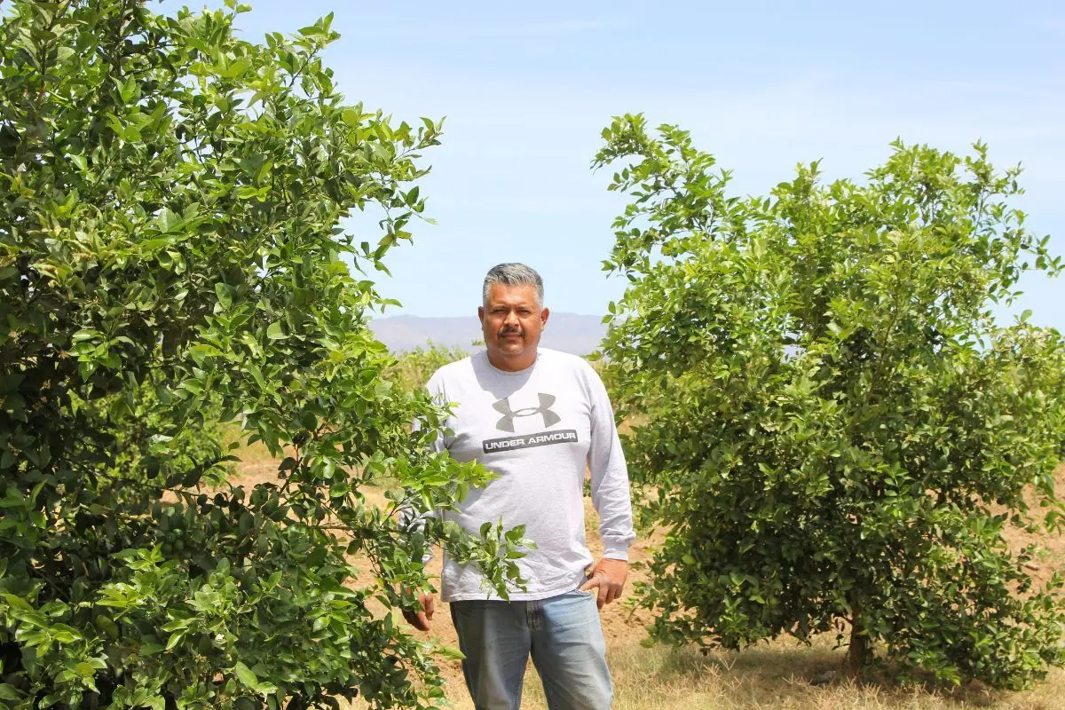 Cambio climático, agricultura, Noroeste de México