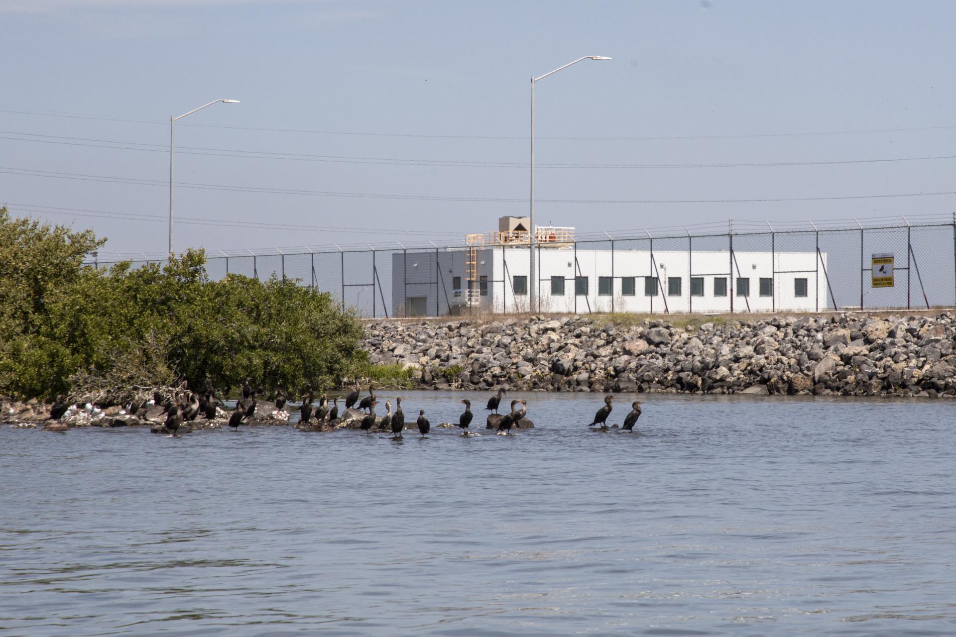 Planta de amoniaco, Bahía de Ohuira, Topolobampo, pueblos Mayo-Yoreme
