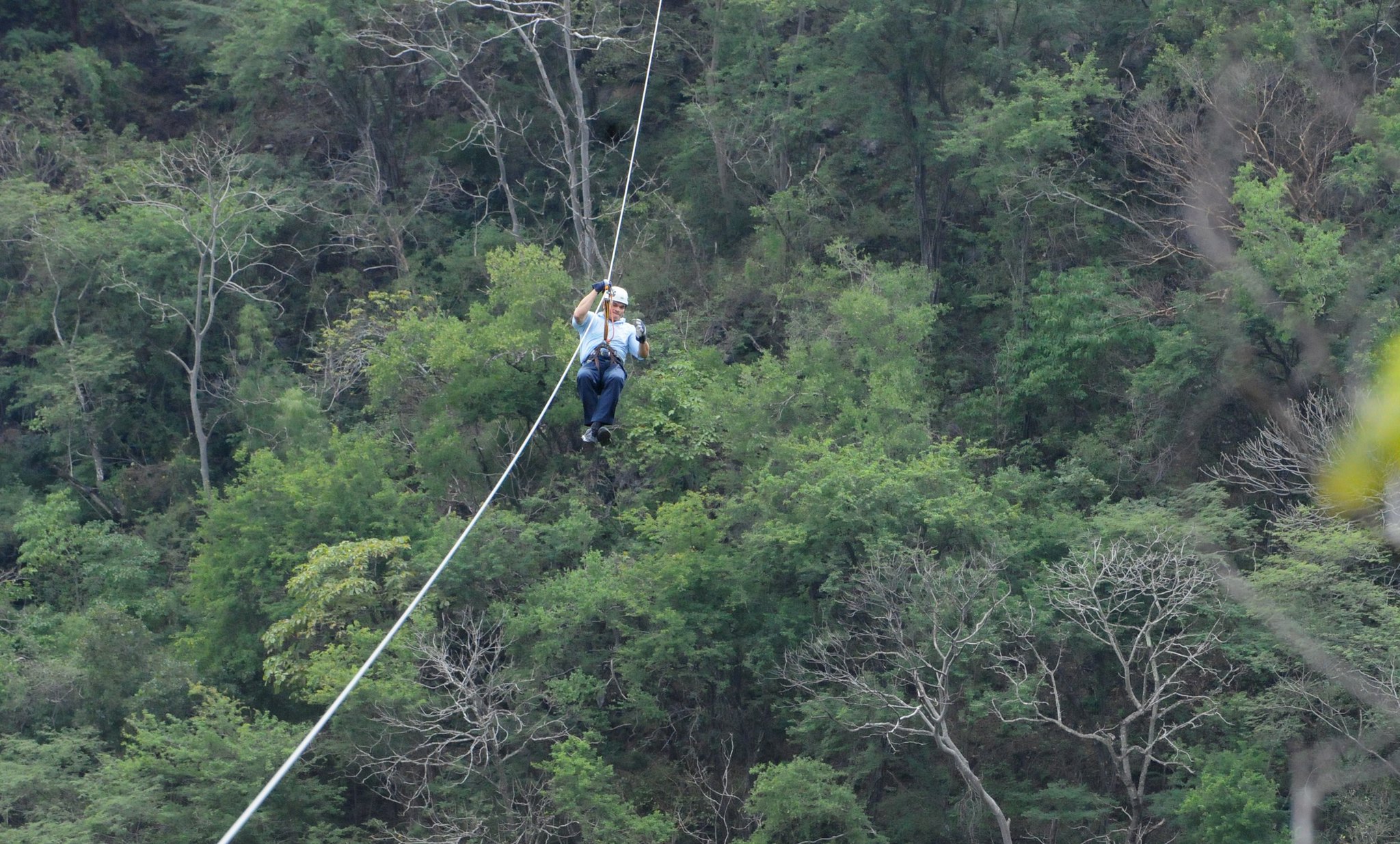 cosala tirolesa malova