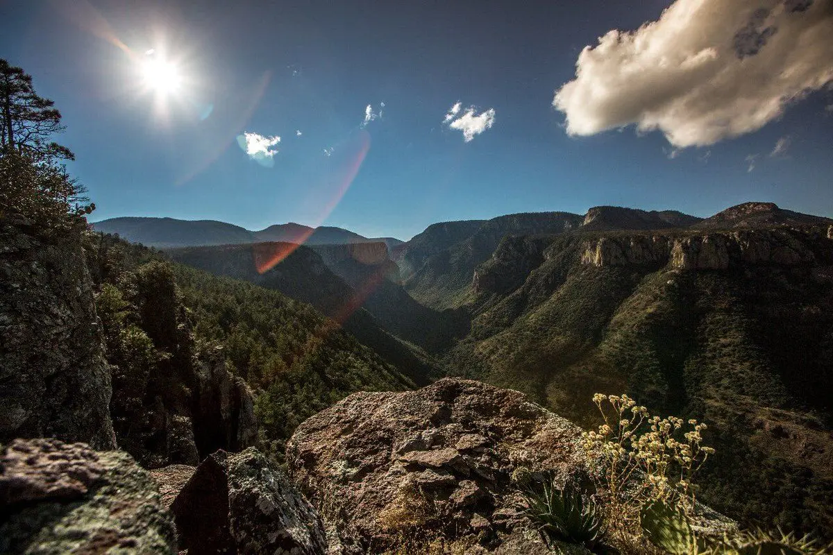 Felipe Carrillo Puerto, ANP, Declaratoria
