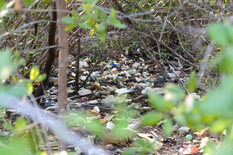 Isla Basura Mazatlan