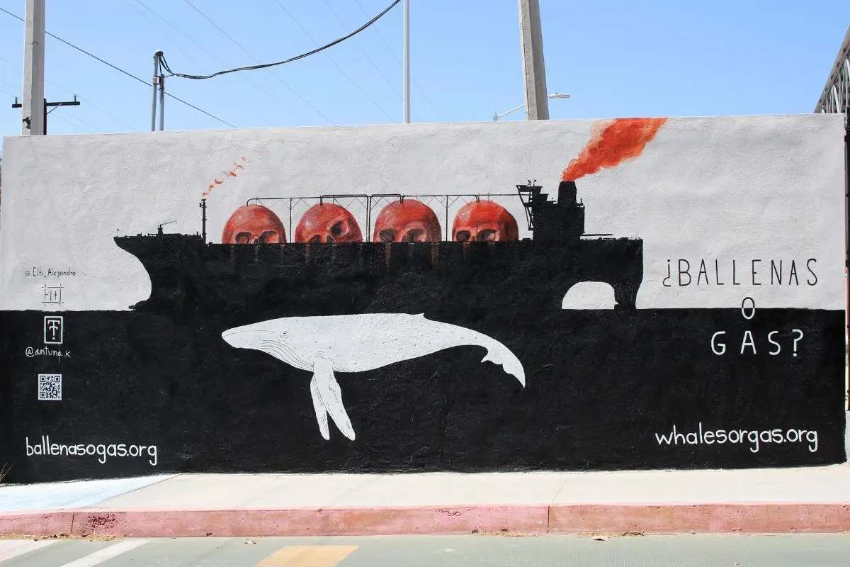 México Pacific, Golfo de California, Baja California