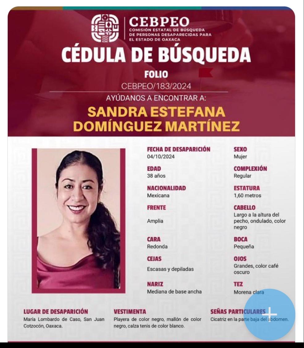 Sandra Domínguez, Activista, Oaxaca