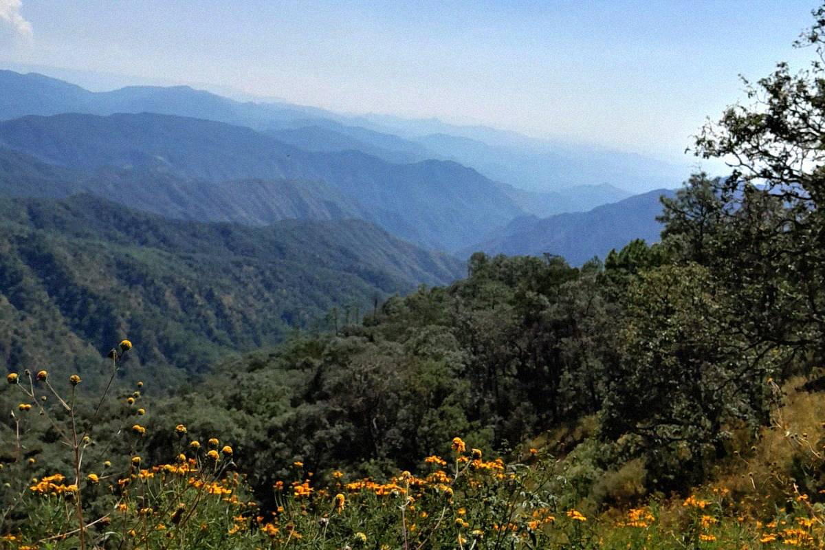 Surutato octubre 2024