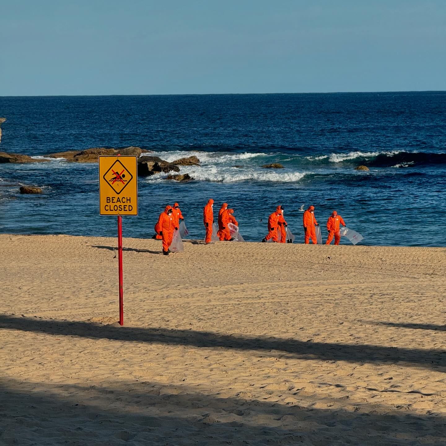 bolas negras australia playas