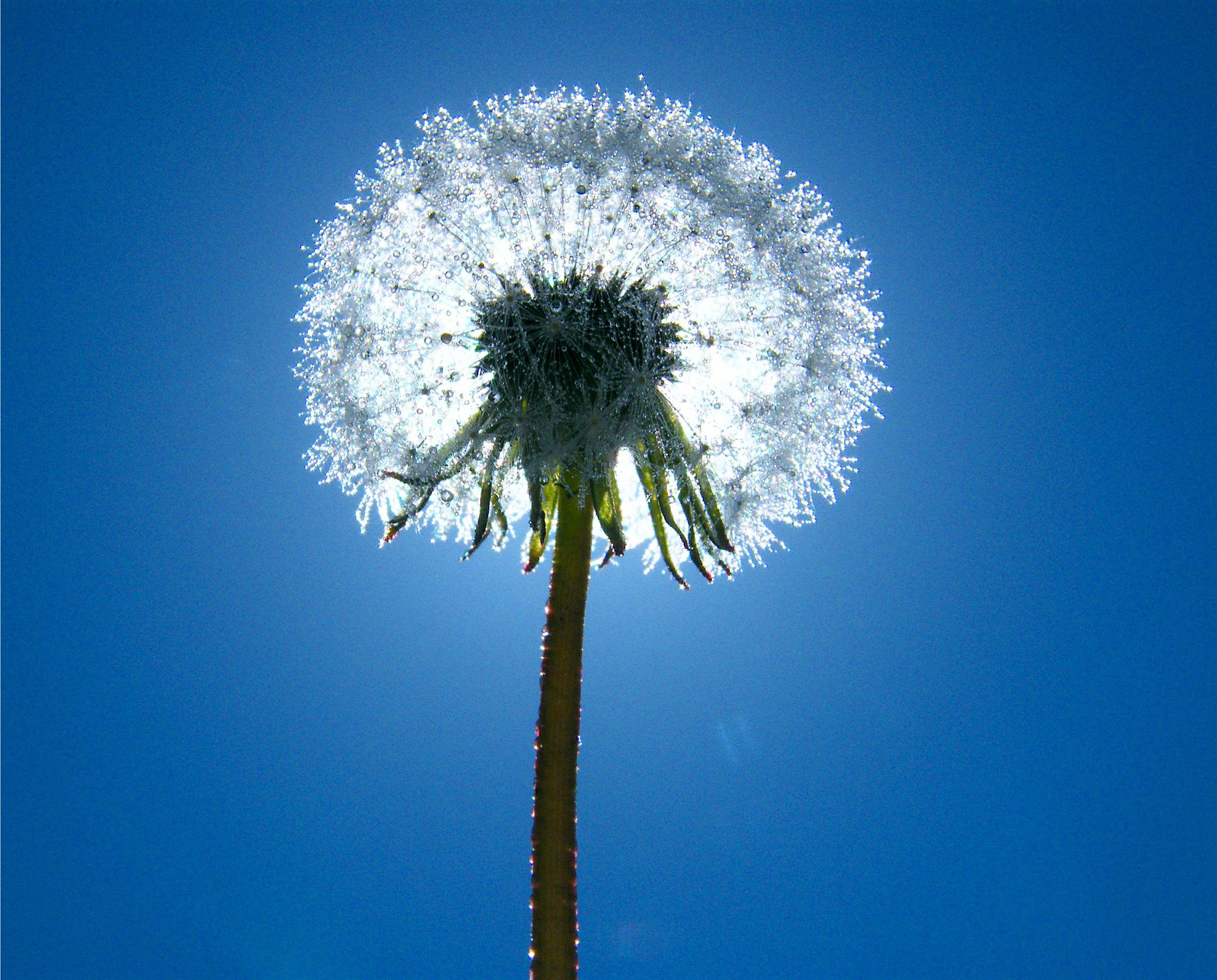 clima los mochis 30 de octubre soleado nublado