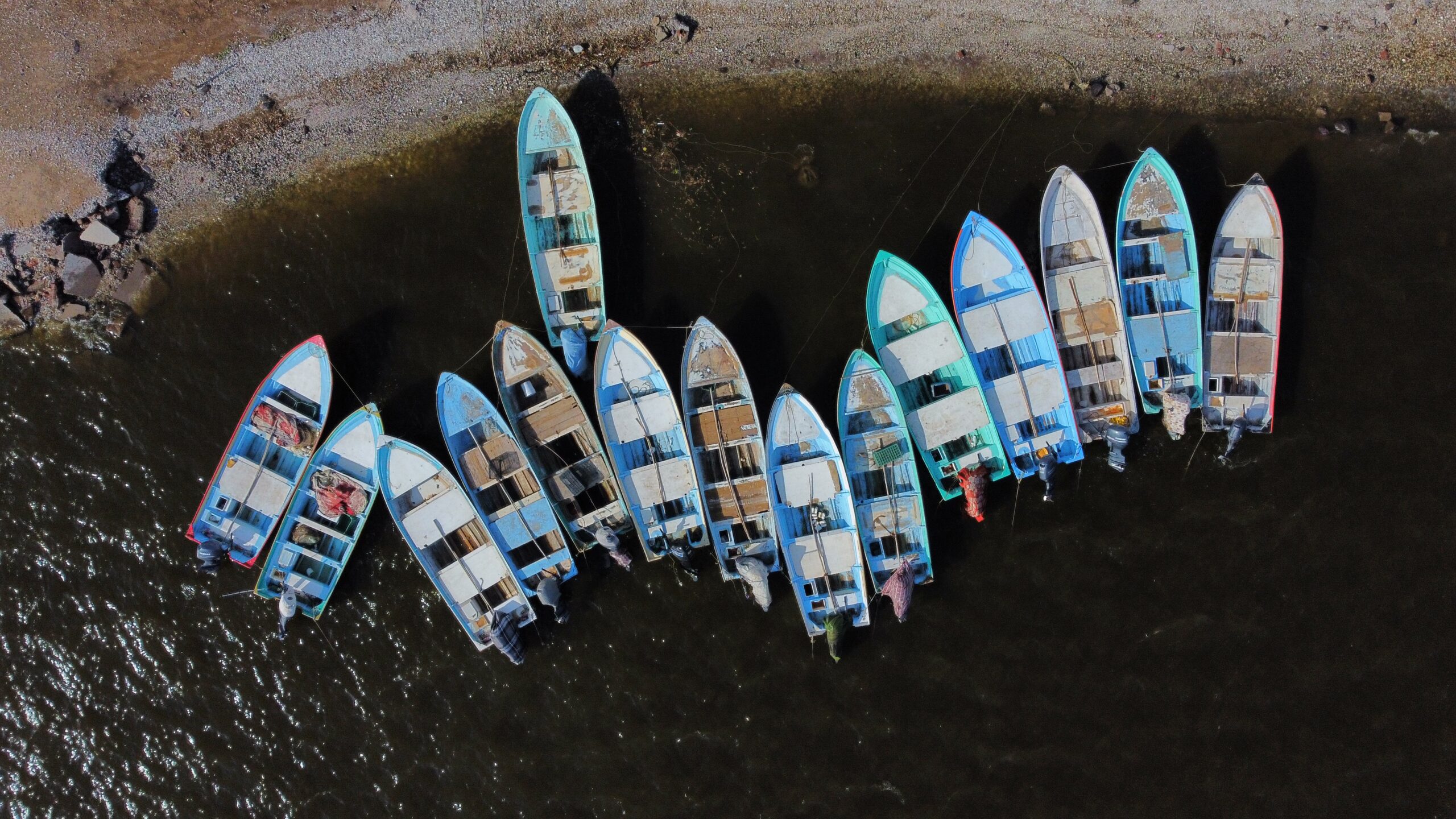 Pesca, camarón, granjas acuícolas