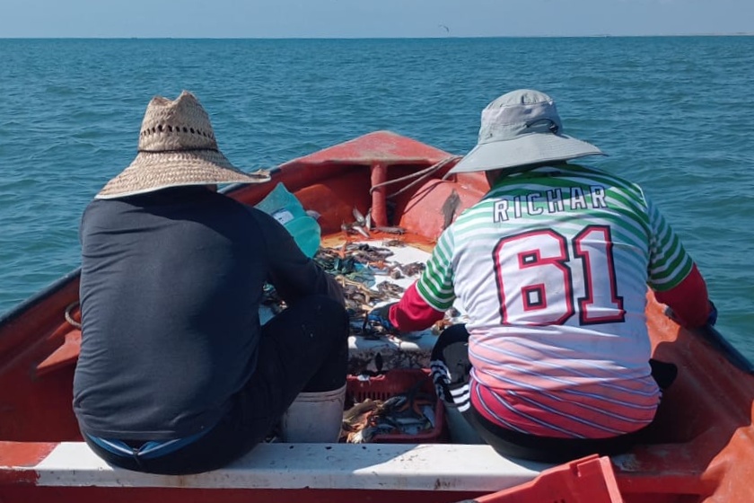 pesca camaron Altata 2024 altamar