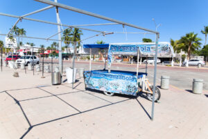 Altata Malecon puestos 2024