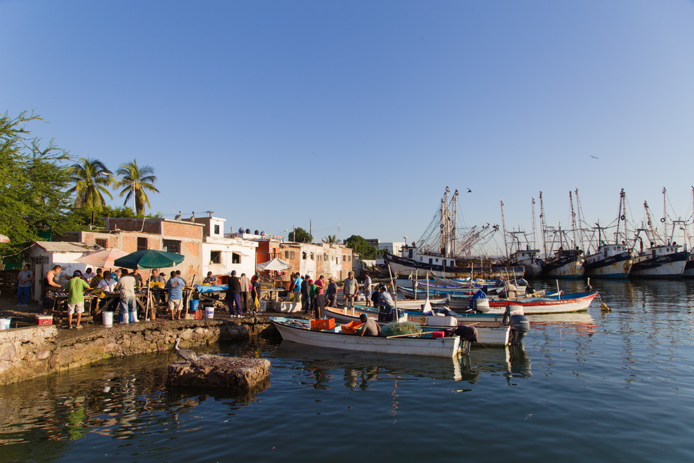 Mazatlan Embarcadero Isla de la Piedra (2)