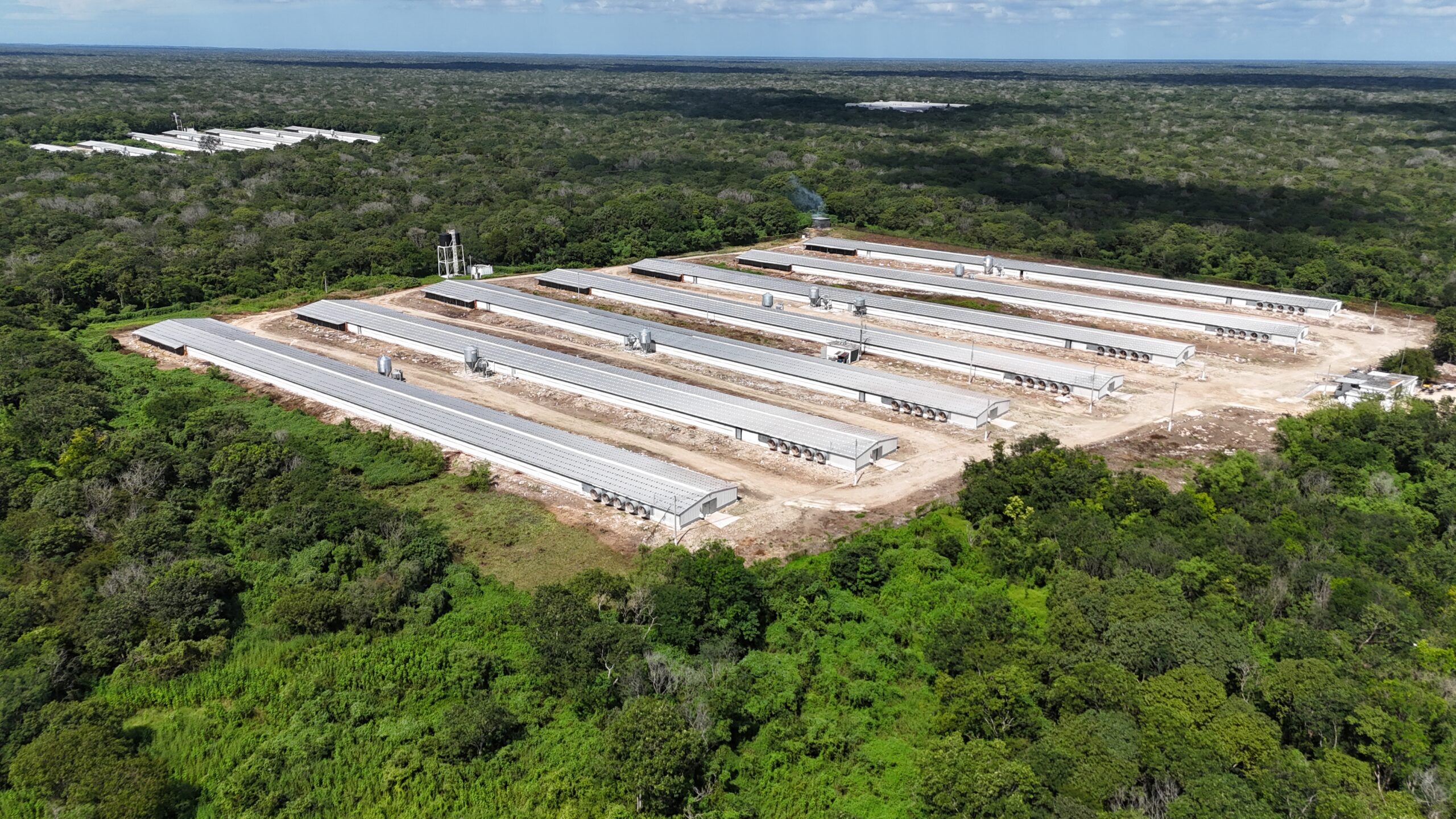 Bachoco, Yucatán, Excremento