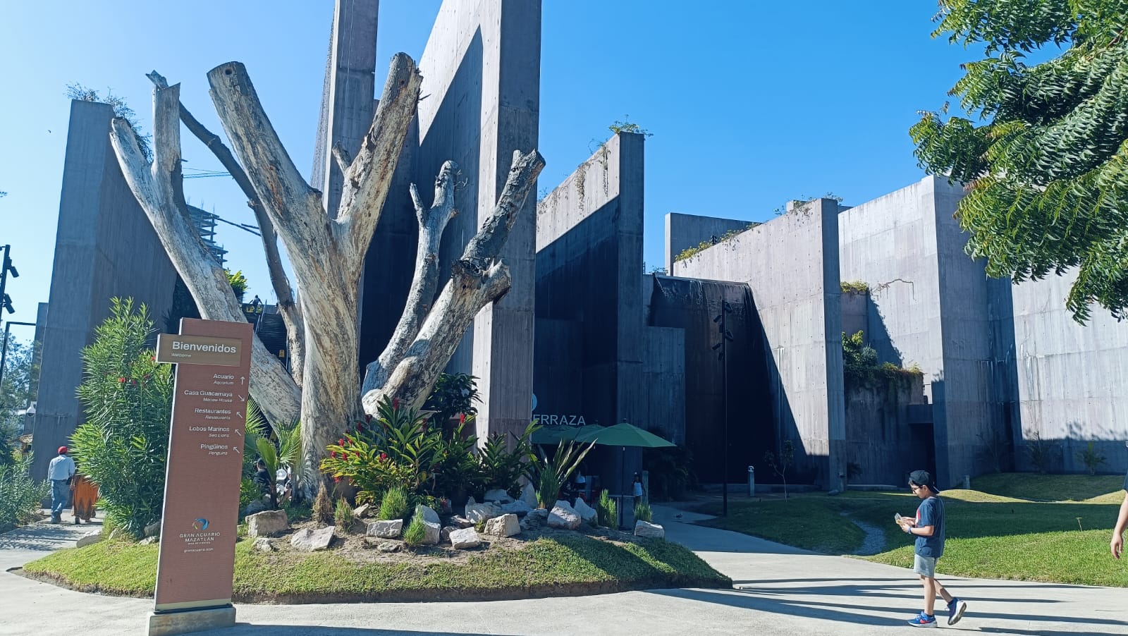 Gran Acuario Mazatlán, rescate de fauna.