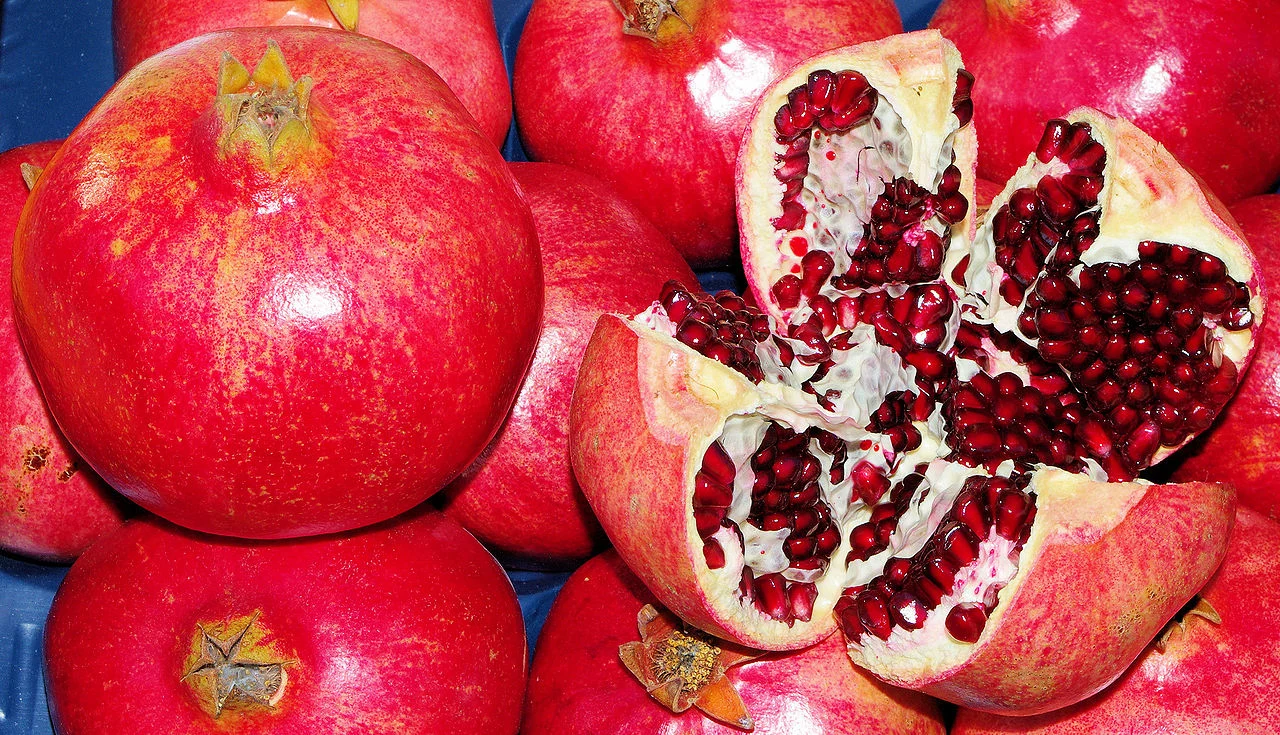 pomegranate-rodi-credit-wikimedia-joergens