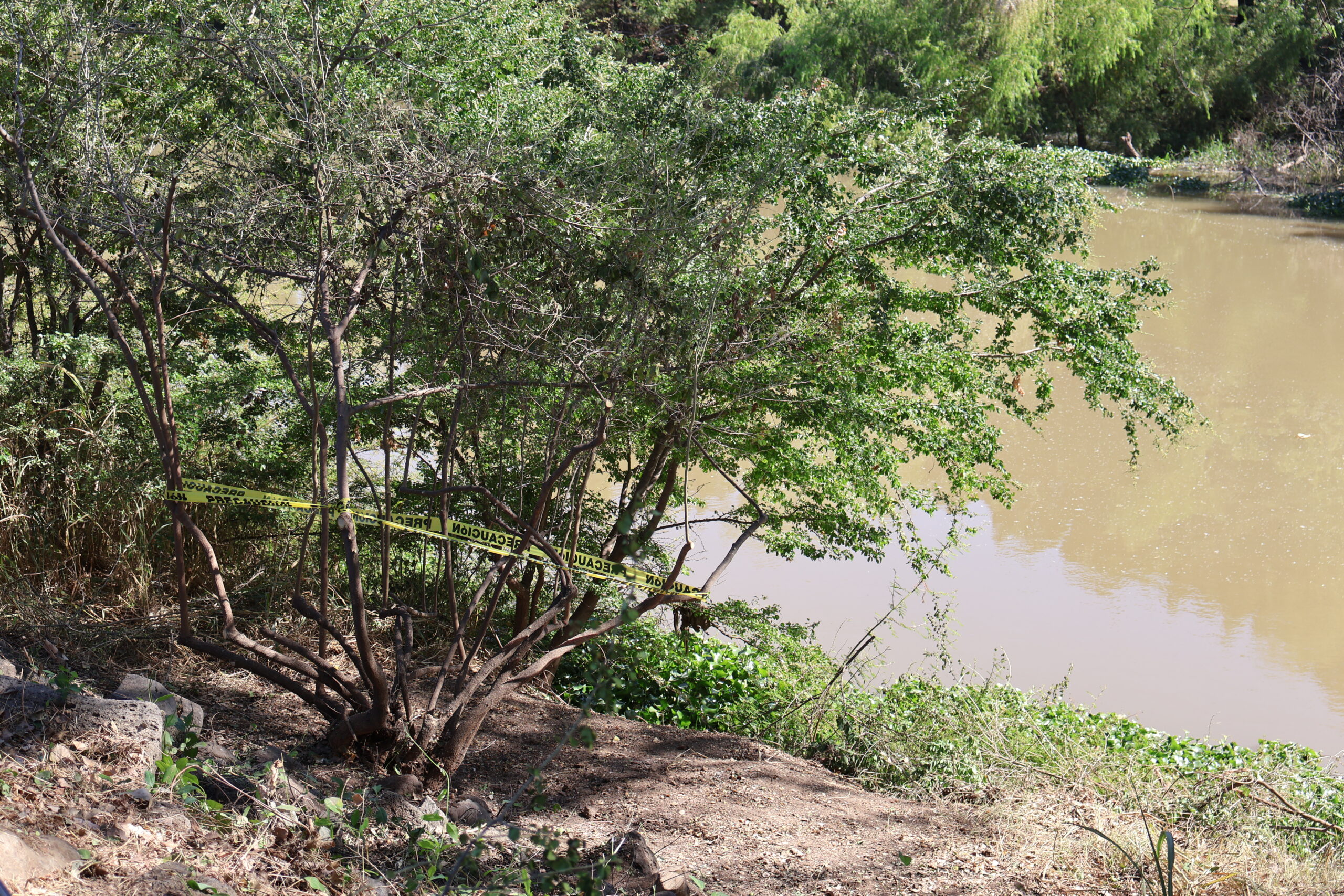 Hediondillo - Parque Las Riberas - Luis Ricardo
