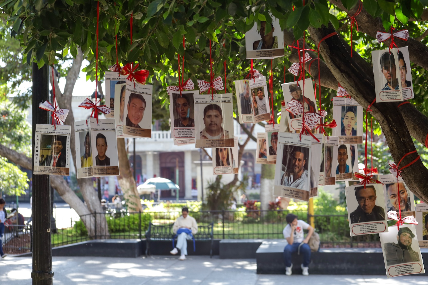 El colectivo Memoria, Verdad y Justicia de Acapulco colocó en el Árbol de la Esperanza del zócalo de Chilpancingo, el 3 de diciembre, cerca de 200 fotografías de personas desaparecidas.