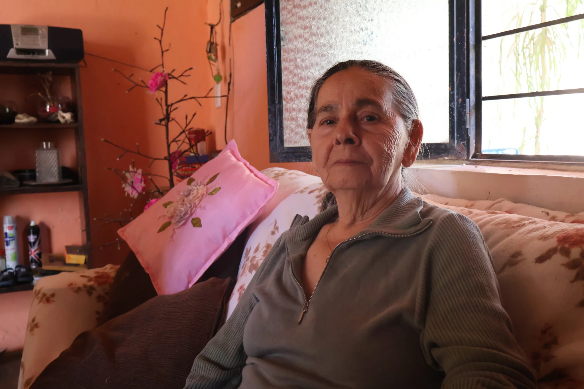 El Fuerte - María del Refugio López Gil