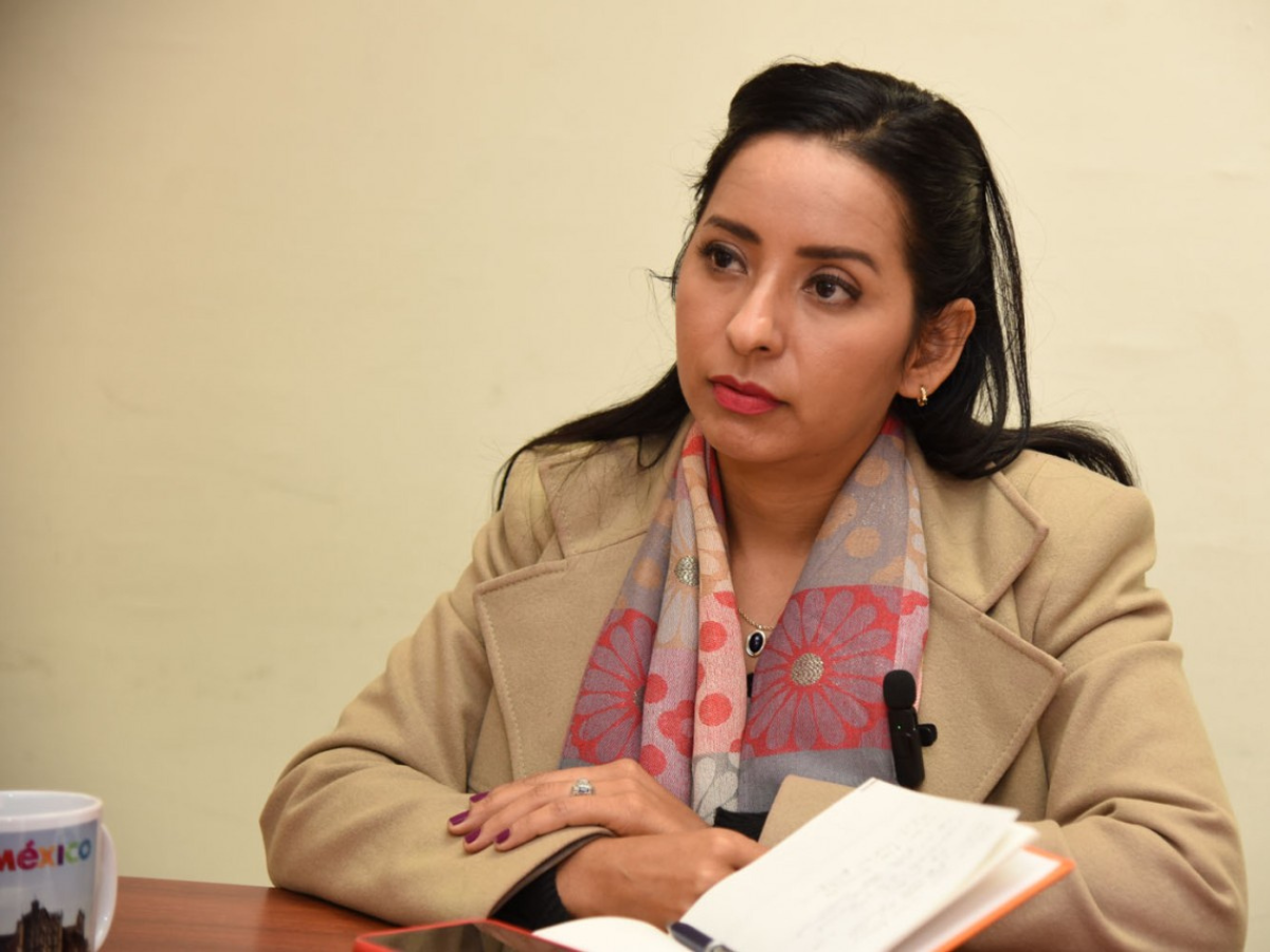 La doctora Cristina Ibarra tom protesta como nueva presidenta electa de la Confederación de Colegios de Economistas de la República Mexicana.