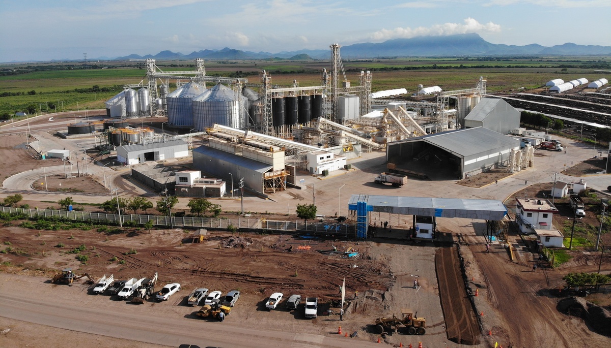 El gobernador Rubén Rocha Moya firmó la petición de declaración de emergencia por sequía en Sinaloa. Empresas locales podrían acceder a apoyos financieros y diferir pagos ante la crisis hídrica y económica.