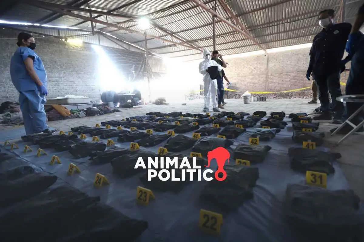 onu-teuchitlan-desaparicion-forzada-1 (1)