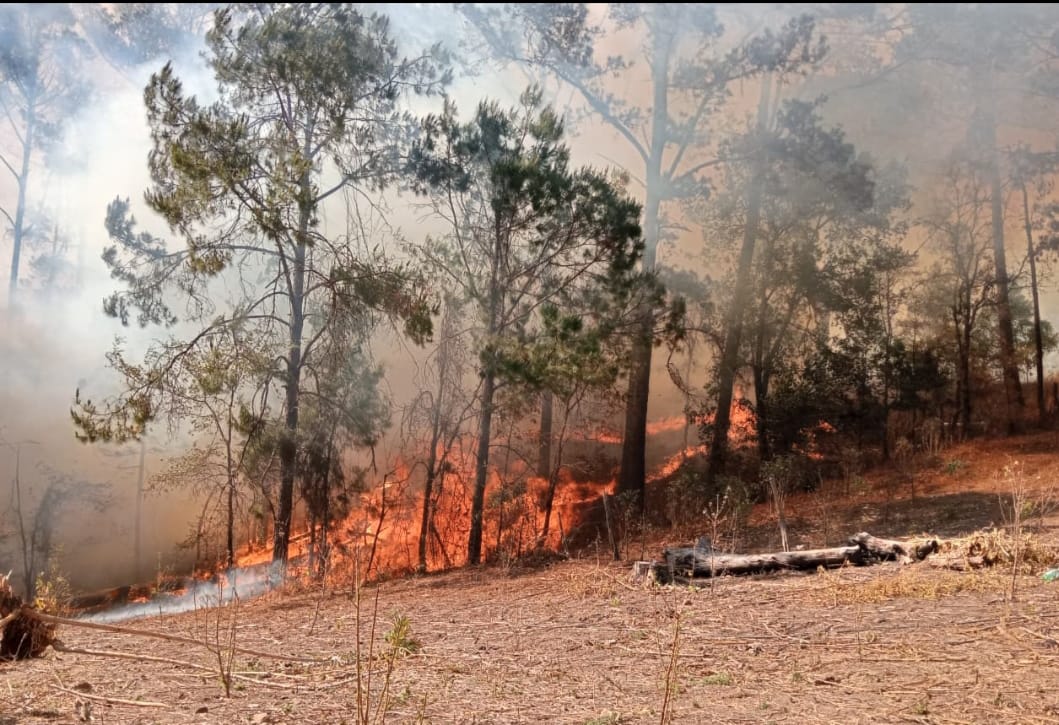 Incendio Sierra Concordia