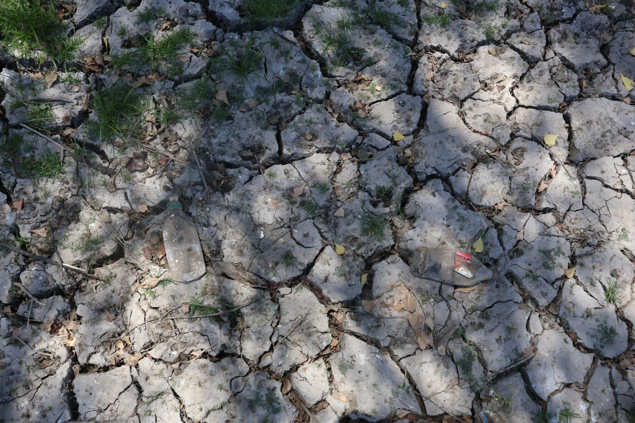 Rio Tamazula Culiacan Centro Mayo 2025