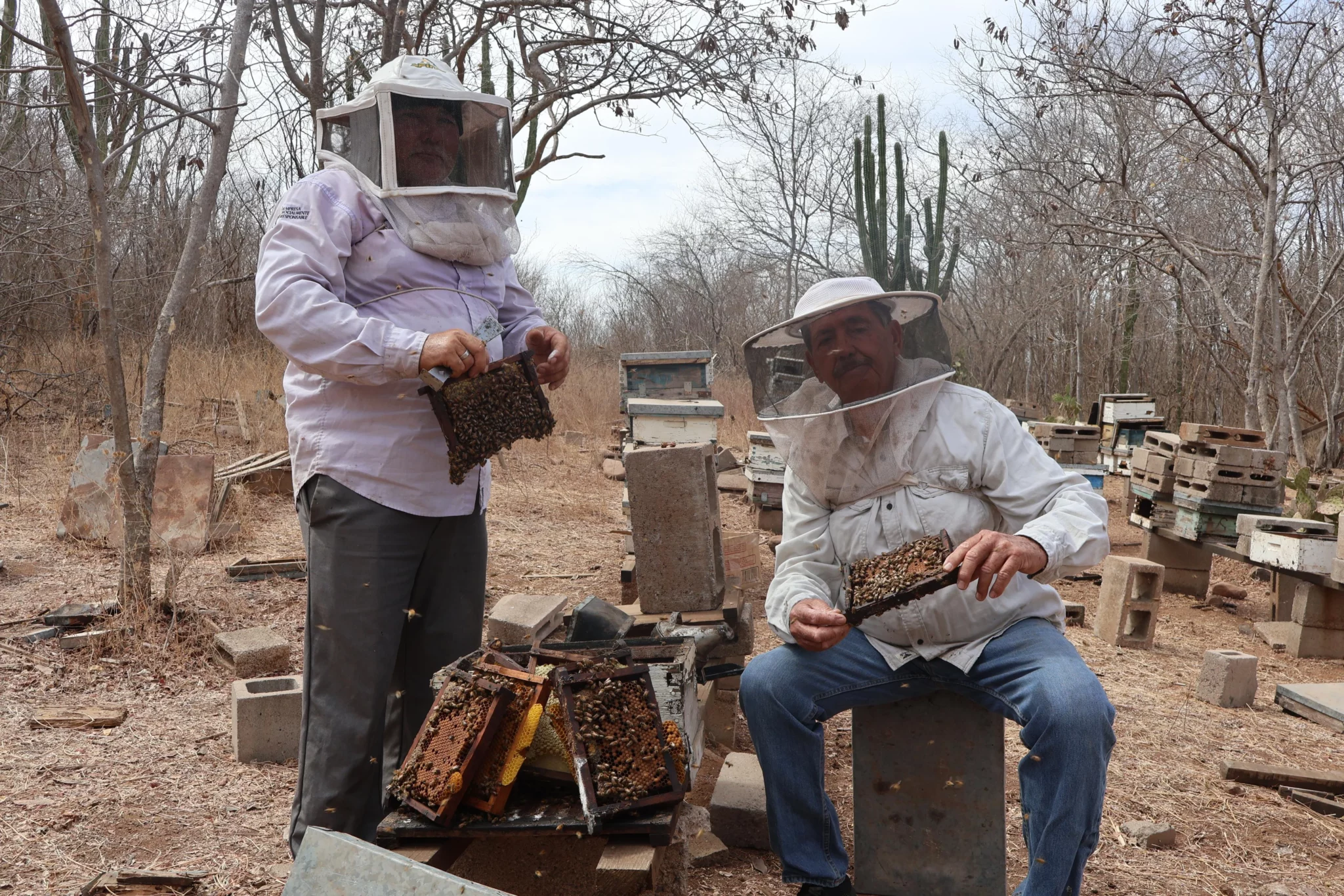 Apicultor Manuel Sosa reproducción de abeja reina