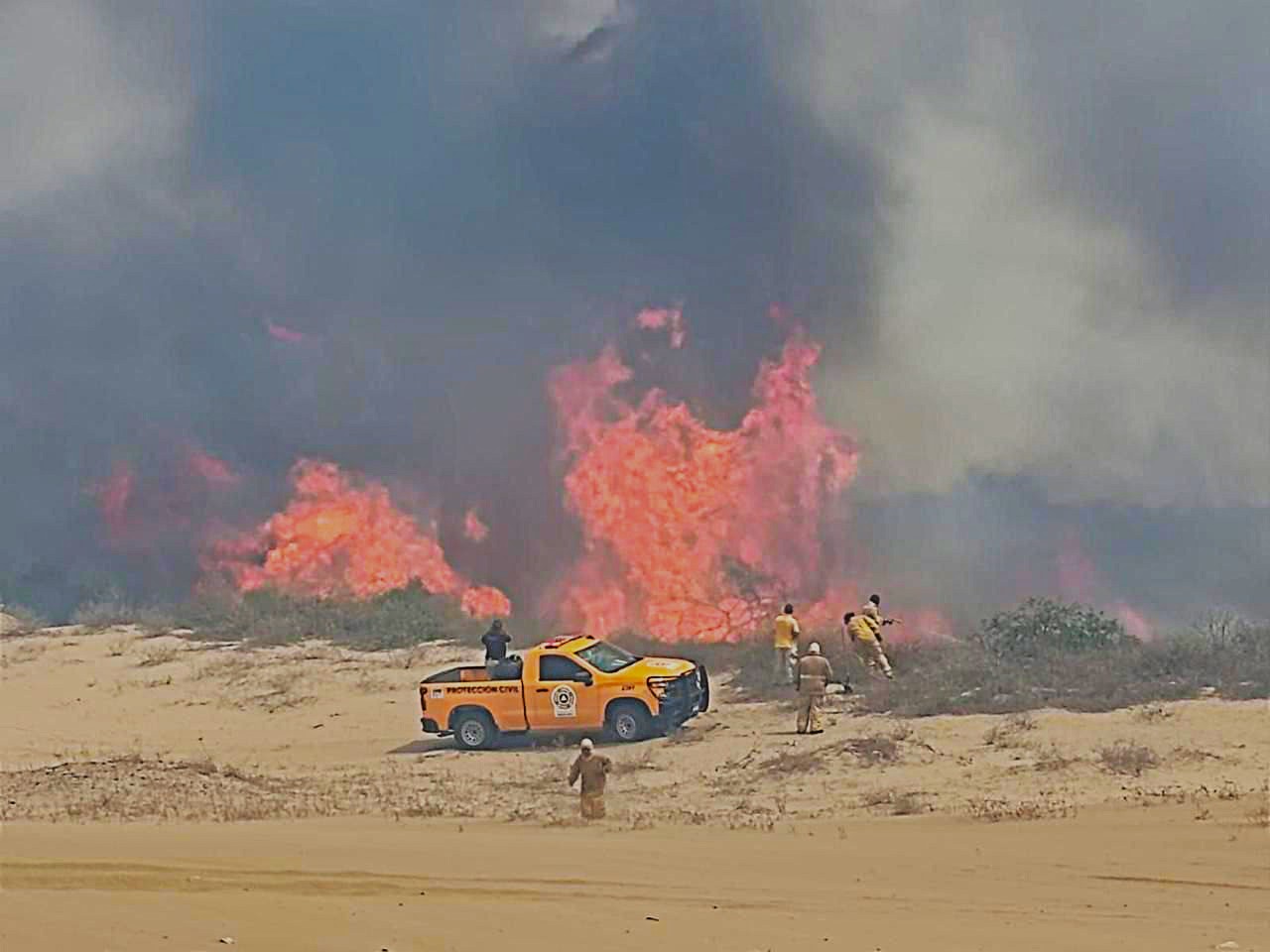 incendio manglar dunas navolato