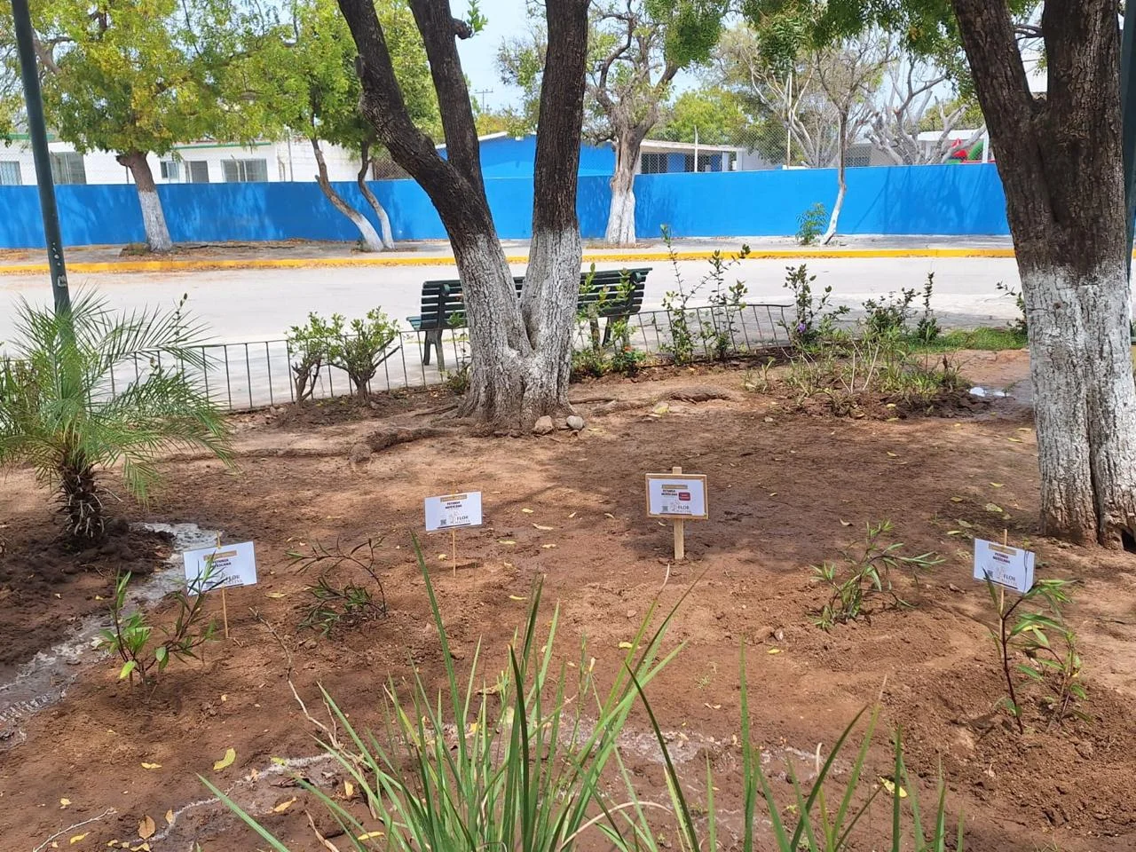 jardin polinizador mazatlan