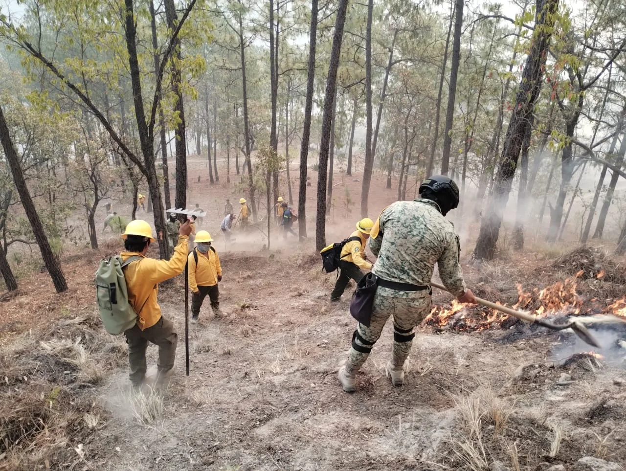 sebides incendios el palmito mayo 2025
