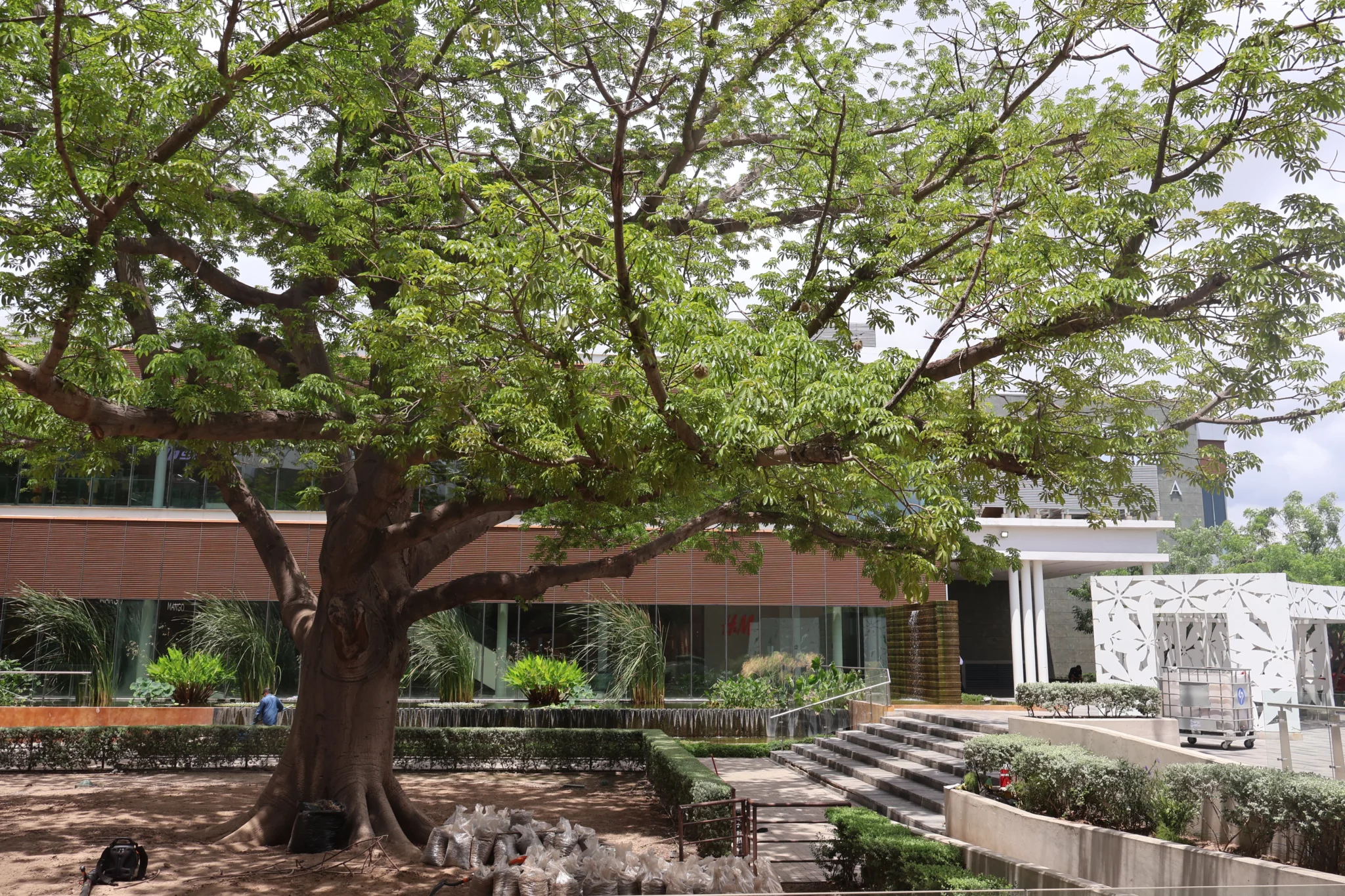 Ceiba Plaza Ceiba (4)