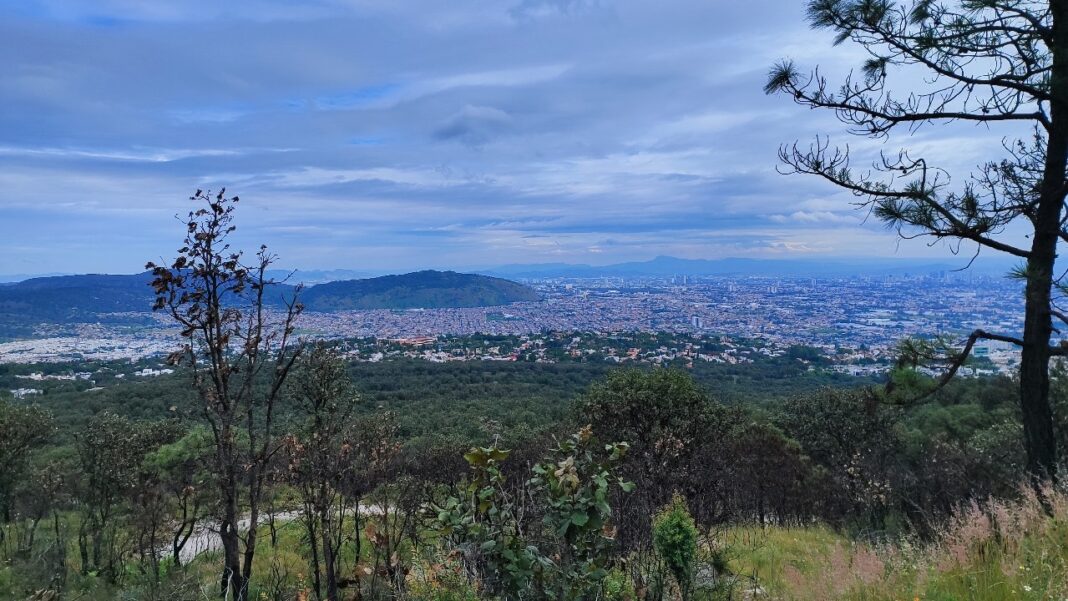 bffe28fd-d7ef-42d1-95f5-93b6b2dc6869-1068x601