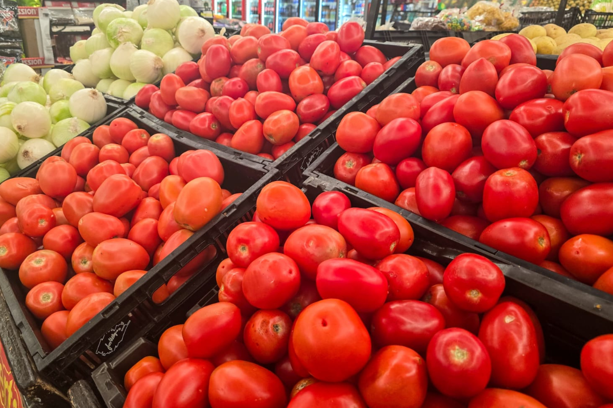 Tomate sinaloense, acusado de dumping.