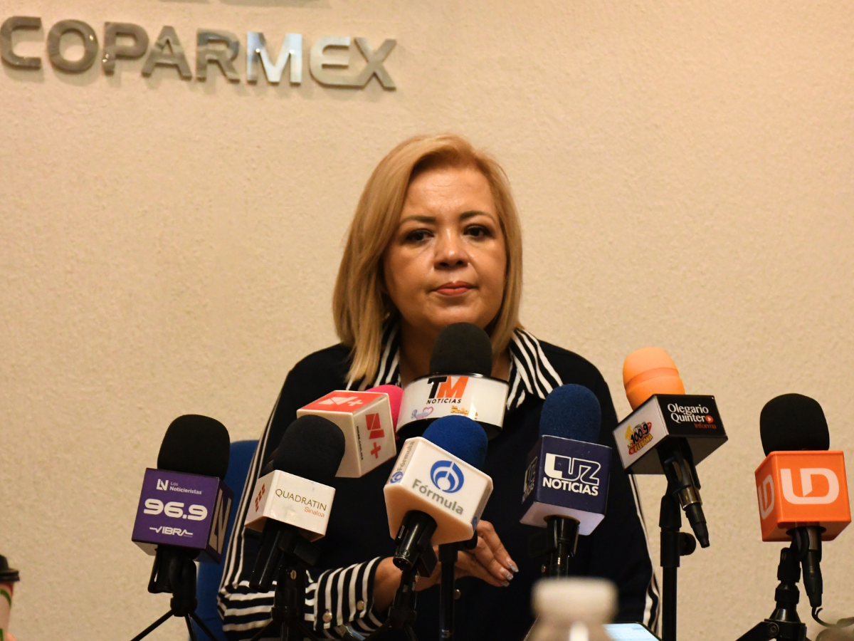Martha Reyes afirma que el autoempleo es clave para mantener ingresos ante el deterioro del mercado laboral y la falta de apoyo gubernamental.