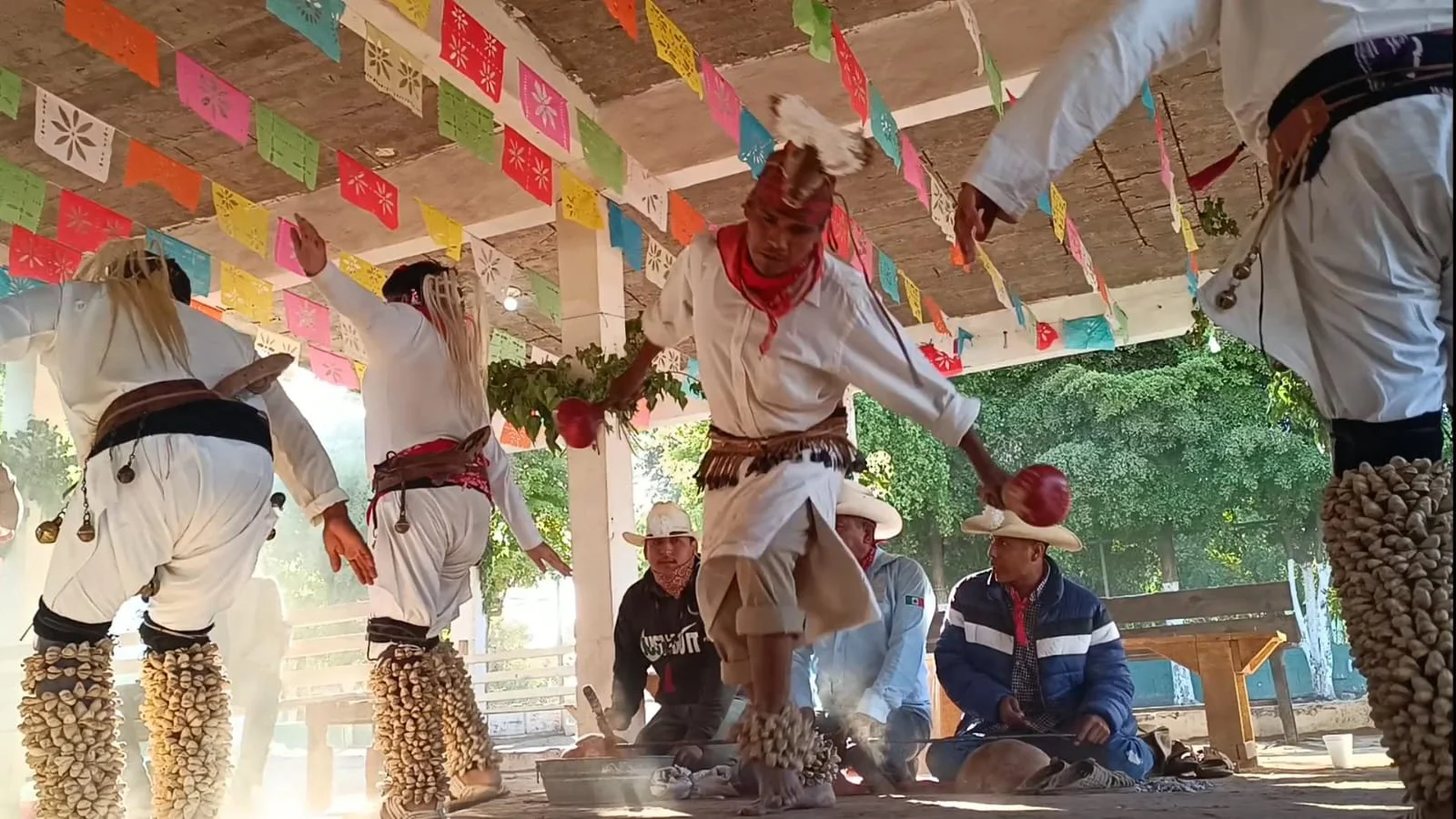 oficio tradicional danza mayo yoreme ohuira